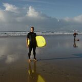 Fiscal Brian Surf 01