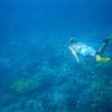 Snorkling Brian 04