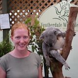 Sydney Zoo koala Sarah 01