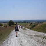 Walking View Cantebury 01