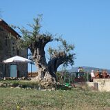 DSC01055