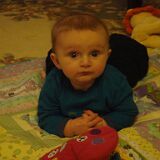 2008 11