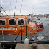 IMG 0869