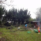 DSC05552