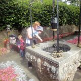 DSC07973