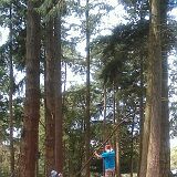IMAG0869-1