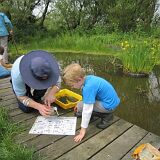 ThomasPondDipping 29May2014 IMG 1809