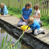 ThomasPondDipping 29May2014 IMG 1813